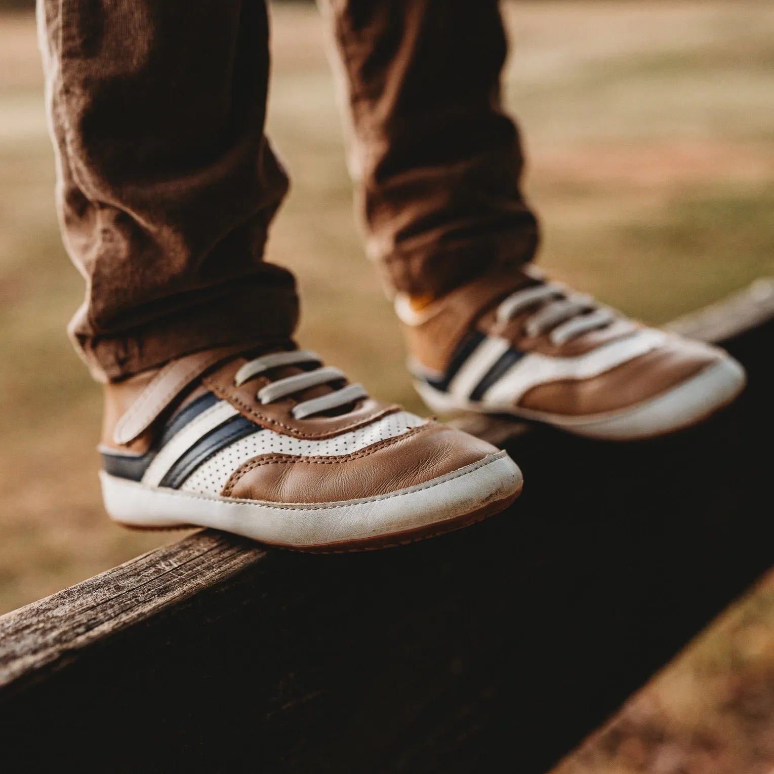 Brown and Navy Henry Low Top