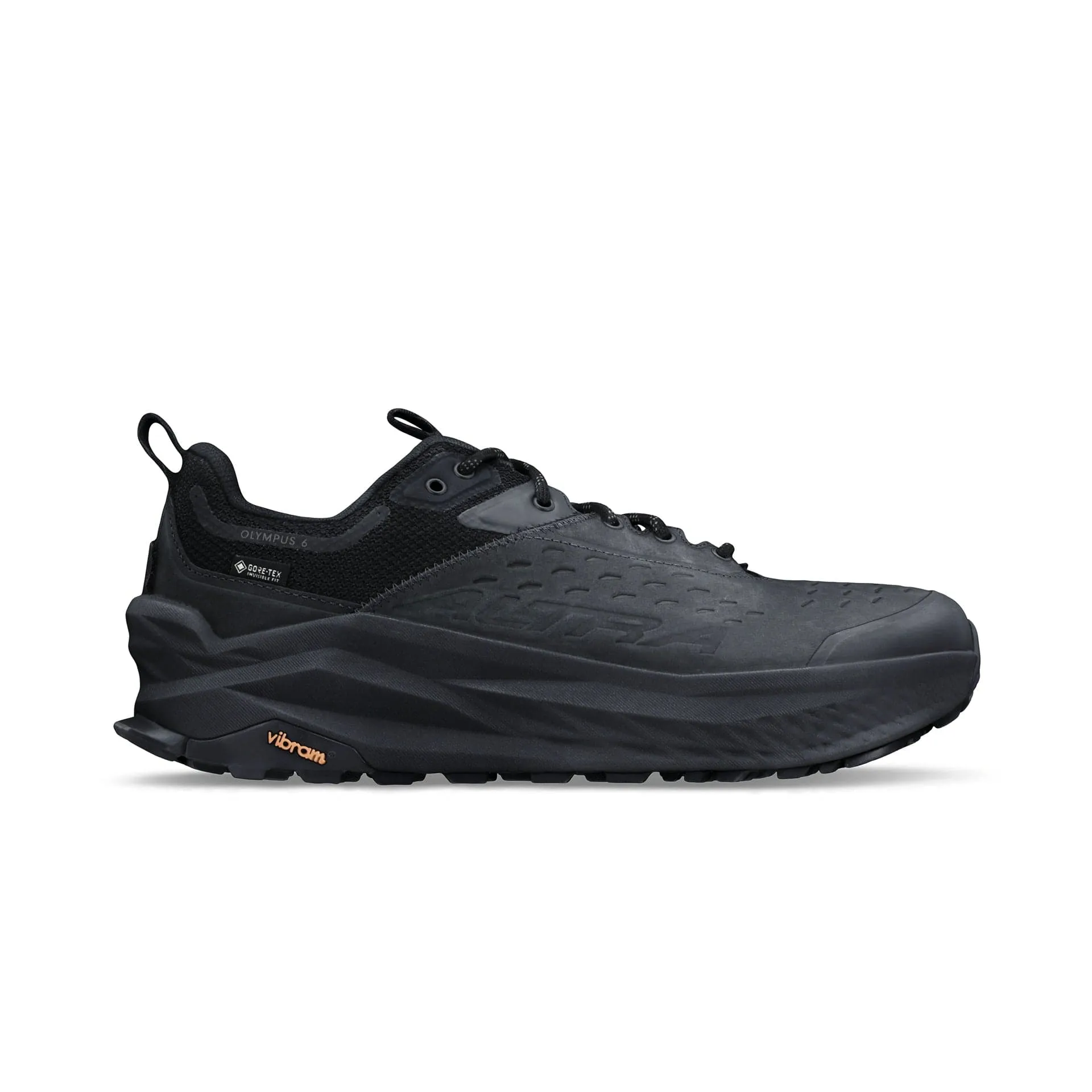 Olympus 6 Hike Low Gtx [Men's]